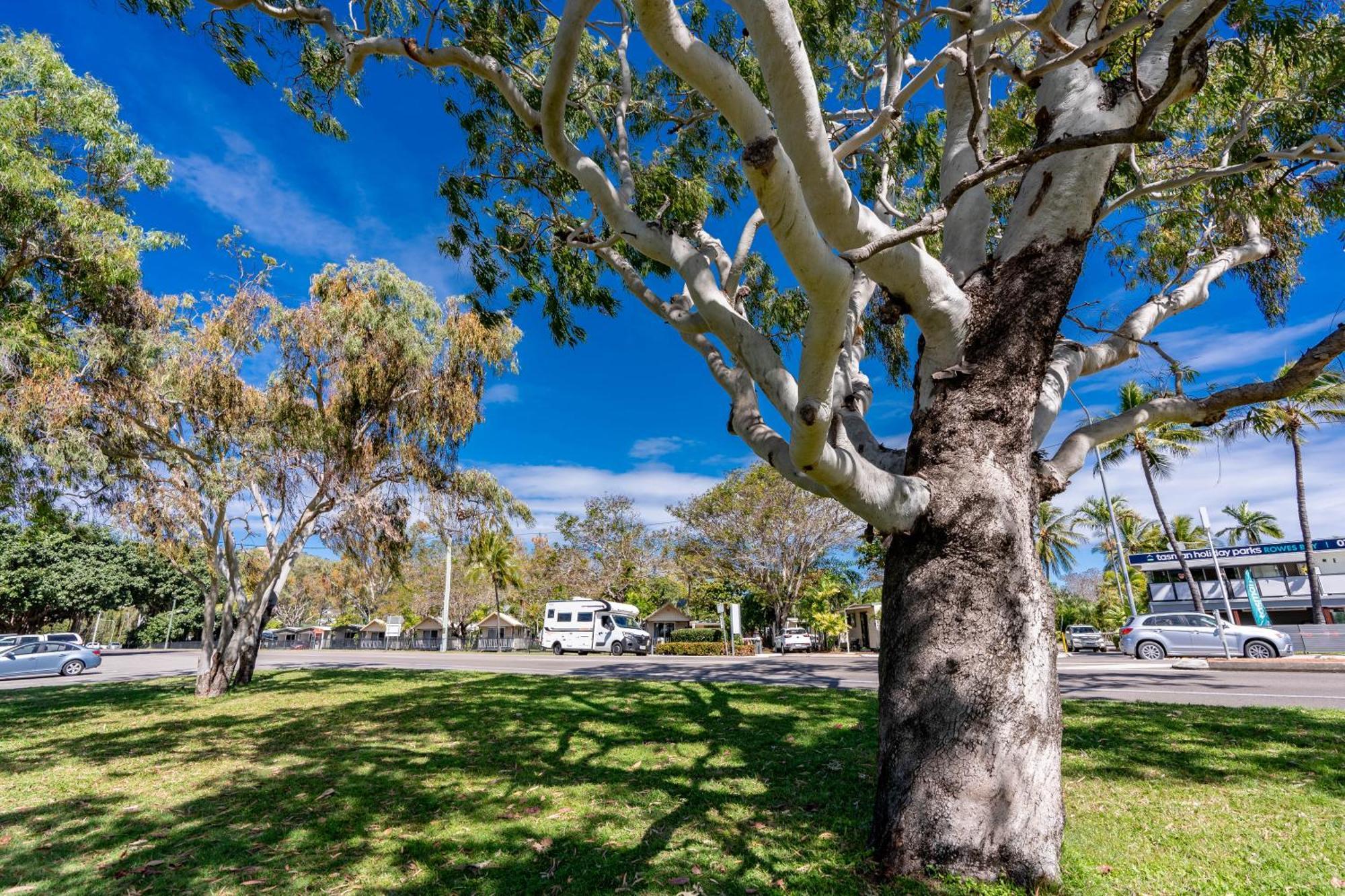 Big4 Tasman Holiday Parks - Rowes Bay Townsville Ngoại thất bức ảnh